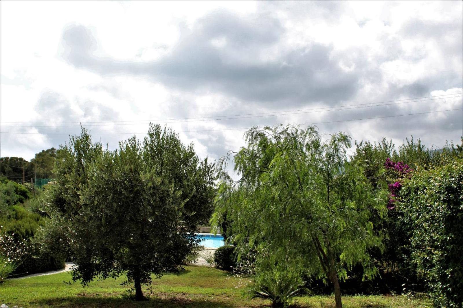 Residence Les Oliviers Порто Адзуро Екстериор снимка